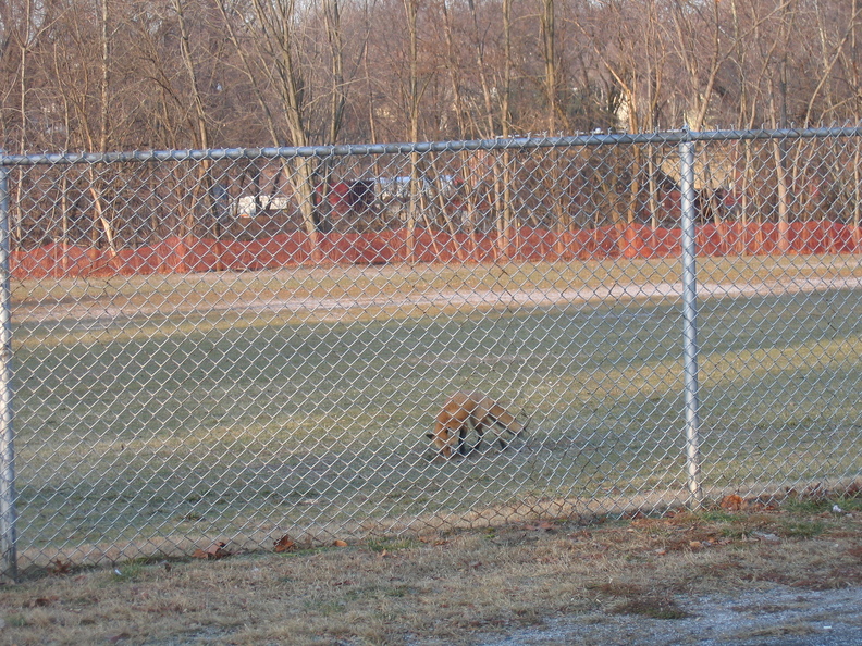 IMG_2758.JPG